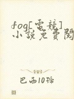 fog[电竞]小说免费阅读完整版在线封面