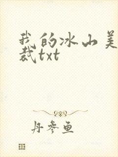 我的冰山美女总裁txt