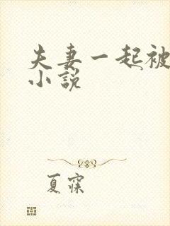 夫妻一起被调教小说