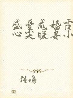 盛爱成婚霍少的心尖暖妻小说