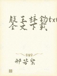 朕王梓钧txt全文下载封面