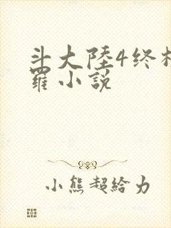斗大陆4终极斗罗小说封面