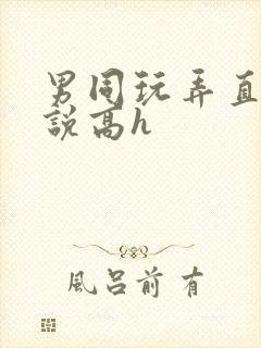 男同玩弄直男小说高h