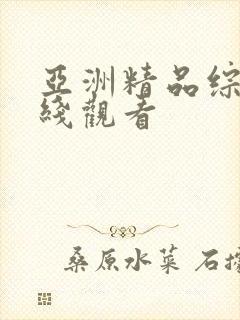 亚洲精品综合在线观看