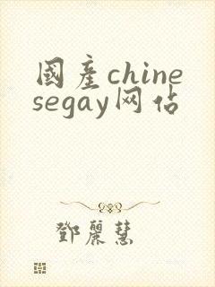国产chinesegay网站