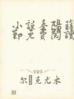 小说秦阳薛冰章节免费阅读全文封面