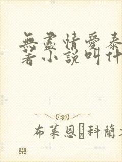 无尽情爱泰剧原著小说叫什么名字