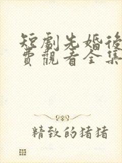 短剧先婚后爱免费观看全集