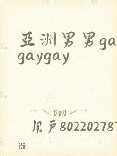 亚洲男男gaygaygay