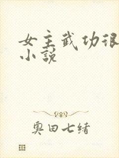 女主武功很高的小说