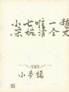 小七唯一赵振国,宋婉清全文阅读免费