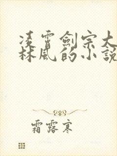 凌霄剑宗大师兄林风的小说在线阅读