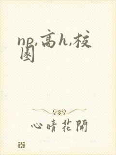 np,高h,校园