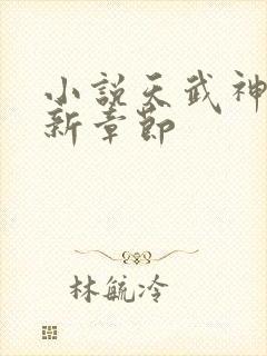 小说天武神帝最新章节