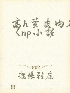 高h荤爽肉欲文〈np小说