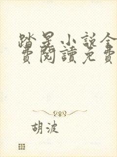 踏星小说全文免费阅读免费封面