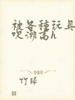 被各种玩具调教吹潮高h封面