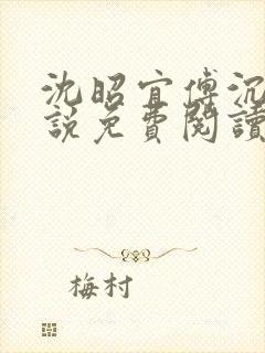 沈昭宜傅沉砚小说免费阅读最新章节