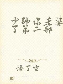 少帅你老婆又跑了第二部