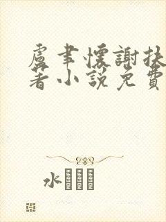 卢聿怀谢扶盈原著小说免费阅读