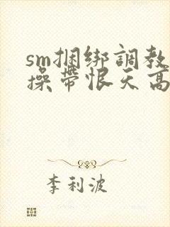 sm捆绑调教贞操带恨天高超短裙丝袜小说