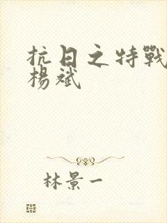 抗日之特战兵王杨斌