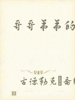 哥哥弟弟的小说