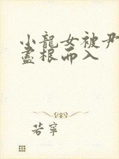 小龙女被尹志平尽根而入