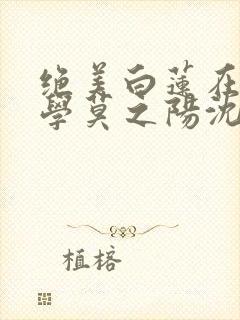 绝美白莲在线教学莫之阳沈长留小说完整