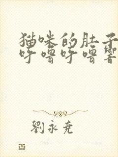 猫咪的肚子一直呼噜呼噜响