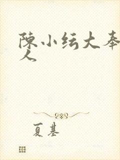 陈小纭大奉打更人封面