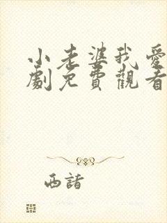 小老婆我爱你短剧免费观看高清