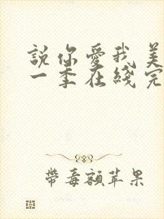 说你爱我美剧第一季在线完整观看