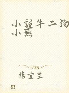 小说牛二狗,陈小燕