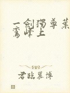 一剑独尊叶玄青鸾峰上