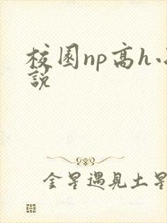 校园np高h小说