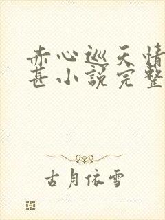 赤心巡天情何以甚小说完整精校版