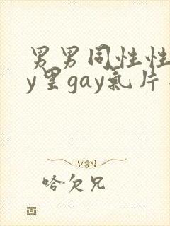 男男同性性gay里gay气片网站