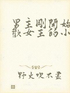 男主刚开始不喜欢女主的小说