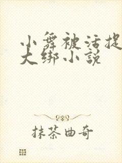 小舞被活捉五花大绑小说