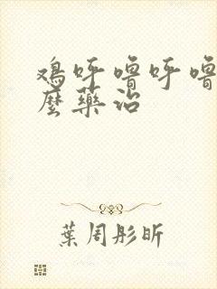 鸡呼噜呼噜用什么药治