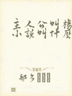 主人公叫杨辰的小说叫什么名字