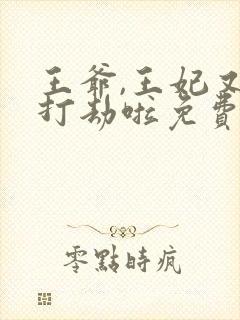 王爷,王妃又去打劫啦免费阅读