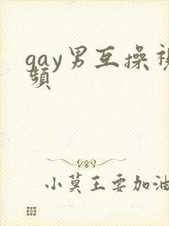 gay男互操视频