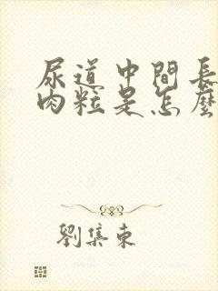 尿道中间长的小肉粒是怎么了封面