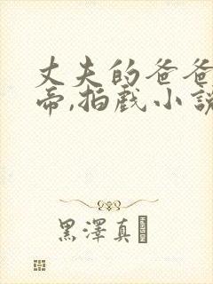 丈夫的爸爸是影帝,拍戏小说