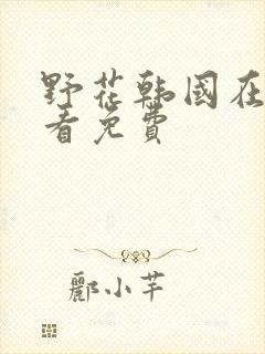 野花韩国在线观看免费