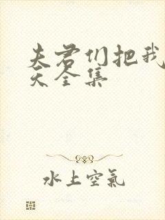 夫君们把我宠上天全集