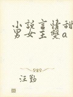 小说言情甜宠文男女主双a