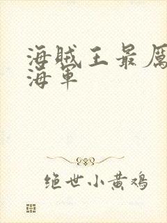 海贼王最厉害的海军